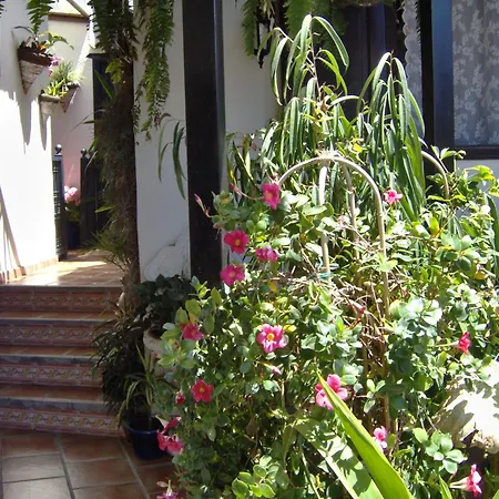 Modern With Balcony With Sea And Mountain Views No Teide-view *