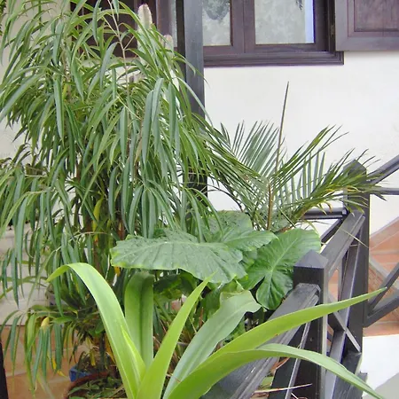 Modern With Balcony With Sea And Mountain Views - No Teide-view