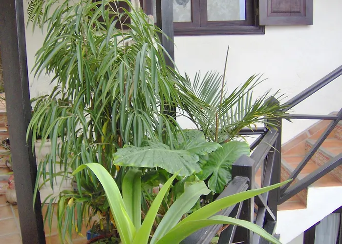 Modern With Balcony With Sea And Mountain Views - No Teide-view