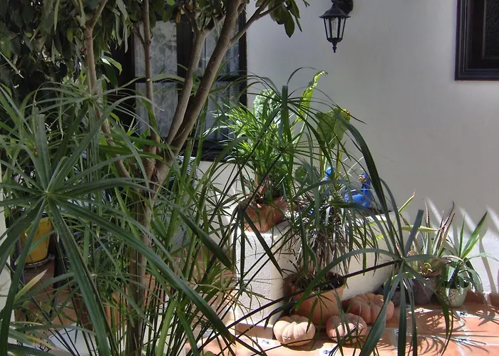 Appartement Modern With Balcony With Sea And Mountain Views - No Teide-view