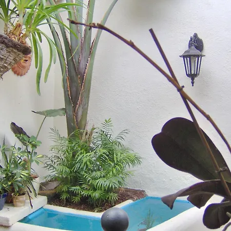 Apartman Modern With Balcony With Sea And Mountain Views - No Teide-view *