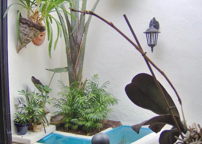 Apartament Modern With Balcony With Sea And Mountain Views - No Teide-view *