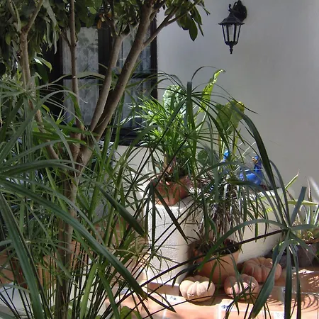 Appartamento Modern With Balcony With Sea And Mountain Views - No Teide-view